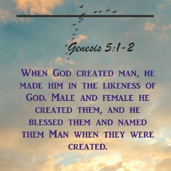 Genesis 5:1-2
