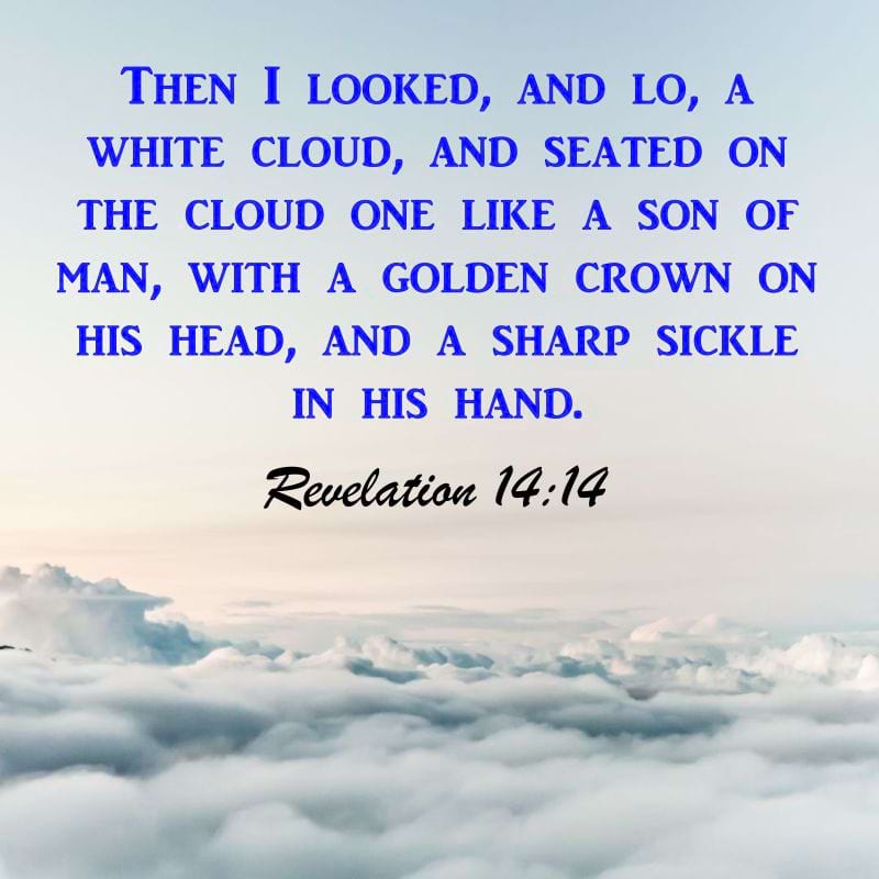 Revelation 14:14-18
