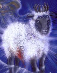 Lamb with seven horns